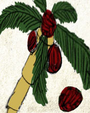 Palme